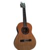 Ruben Flores Requinto Classical Guitar, Model 100
